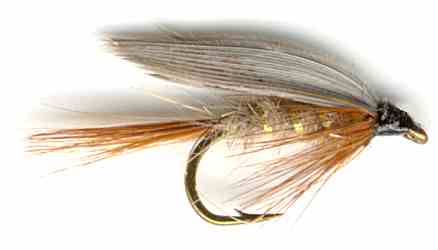 The Gold Ribbed Hare's Ear Wet Fly for trout fishing