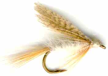 The Light Cahill Wet Fly for trout fishing