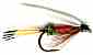 The Royal Coachman Wet Fly for trout fishing
