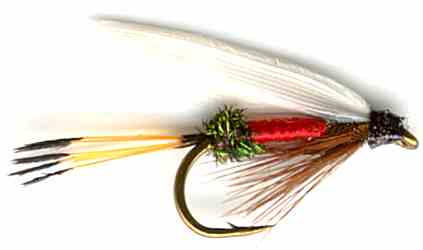 The Royal Coachman Wet Fly for trout fishing