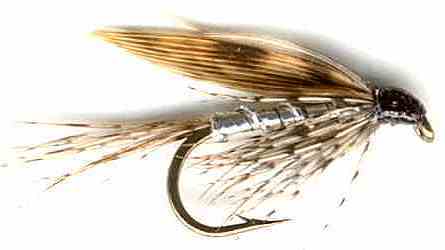 The Silver March Brown Wet Fly for trout fishing