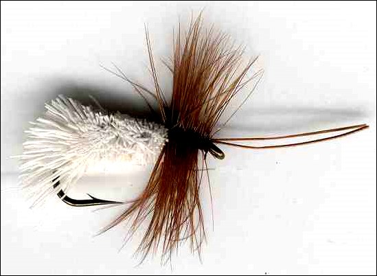 Goddard's White deerhair Caddis fly pattern for rainbow trout fishing