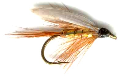 Wickhams Fancy Caddis Wet Fly Trout Pattern