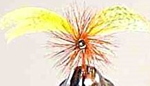 Yellow Drake Mayfly Spinner fly pattern