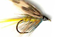 Yellow Invicta Caddis Wet fly pattern